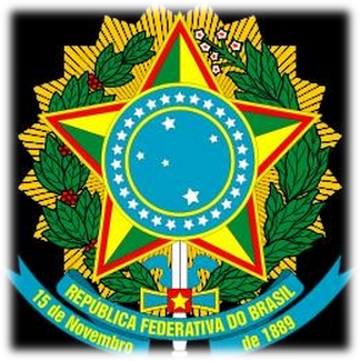 081214 1757 2 Особенности конституционного управления Республики Бразилии